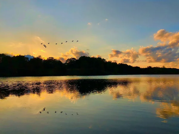 Troupeau Oiseaux Survolant Lac Sur Fond Ciel Nuageux Coucher Soleil — Photo