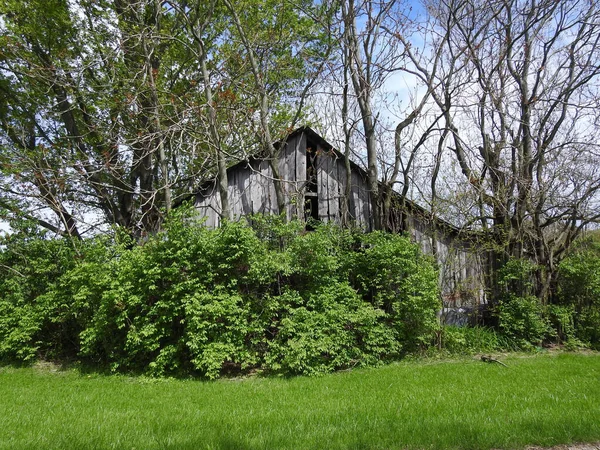 一座古旧的乡村谷仓 四周环绕着茂盛的绿色自然 — 图库照片