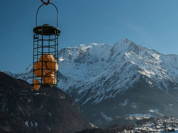 A hanging bird feeder with fat balls against the majestic Mon Blanc in Europe
