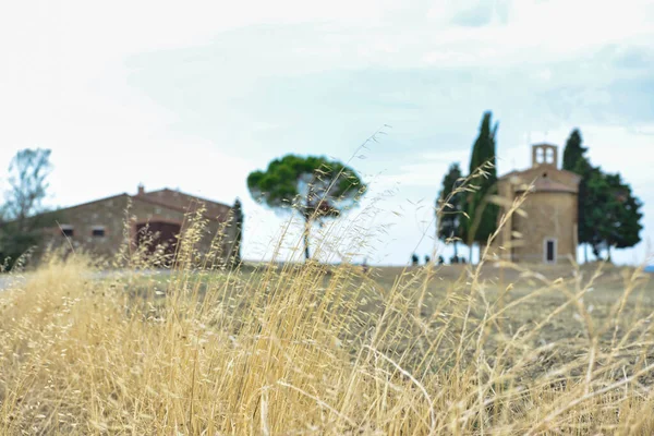 Toskana 'da taş binaları olan güzel bir kırsal alan.