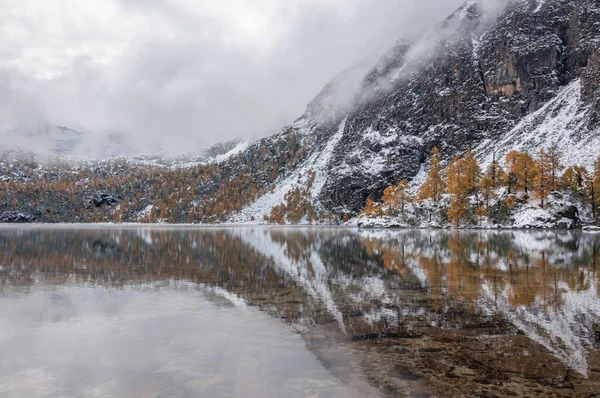 Hermoso Paisaje Invierno Con Lago Alpino Rodeado Árboles — Foto de Stock