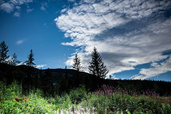 Vidalen Kvällen Hedalen Norge — Stockfoto