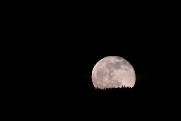 超级月亮在深蓝色的夜晚升起 — 图库照片