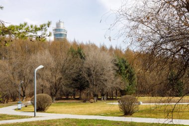 Çok sayıda ağacın ve arka planda bir gökdelenin olduğu güzel bir yeşil park manzarası.