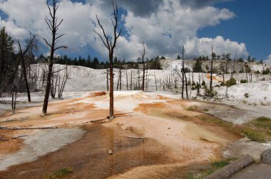 Arazideki kaplıcalar karlı adaya benziyor.