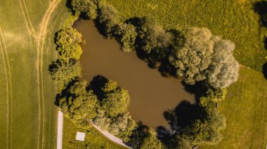 Yukarı Avusturya 'da ağaçlarla çevrili küçük bir gölün üst görüntüsü.
