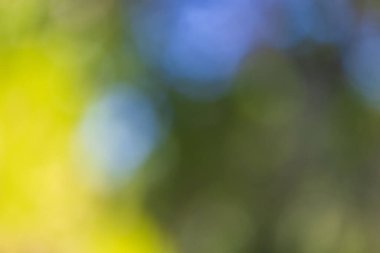 Renkli Bokeh ışıkları arkaplanının yakın çekimi