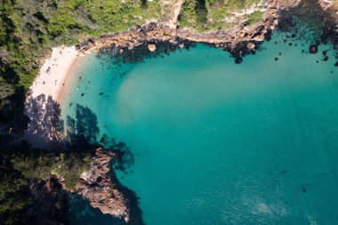 Yeni Zelanda 'da yeşilliklerle kaplı kayalık bir sahile karşı mavi deniz manzarası.