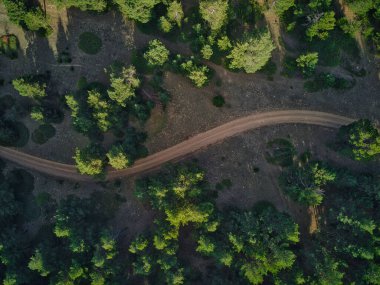 Yeşil ormandan geçen yolun havadan görünüşü, sağlıklı bir çevre ve ekoloji kavramı..