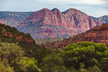 Kanyon ve ağaçlarla çevrili güzel bir kanyon görüntüsü..
