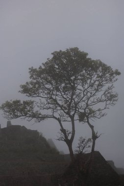 Peru 'daki Machu Picchu' nun İnka harabeleri sisli bir günde