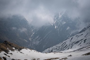 Himalayalar, Nepal 'deki Annapurna dağ sırasının karlı tepelerinde güzel bulutlar süzülüyor.