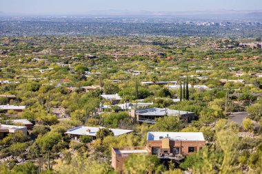 Ağaca benzeyen Saguaro kaktüsleri ve yazları evleri olan terk edilmiş bir bölge.