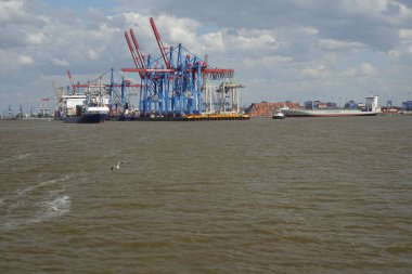 Waltershof, Hamburg Mitte, Hamburg, Almanya, 1 Temmuz 2019, Hamburg liman konteynır terminali Buchardkai Elbe Nehri 'nden görüldü (yatay görüntü)