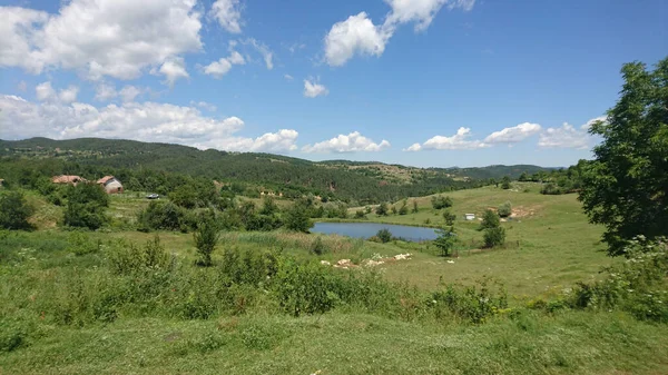 背景には湖と青空が広がる緑豊かな風景 — ストック写真