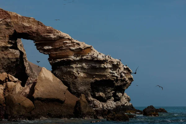 Ein Malerischer Blick Auf Kormorane Fliegen Der Nähe Einer Klippe — Stockfoto