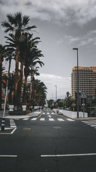 Vertical Shot Street Palm Trees Puerto Cruz Tenerife Canary Islands — Stock Photo, Image