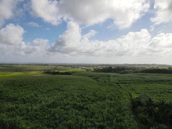 Belo Tiro Campo Grama Verde Com Céu Nublado — Fotografia de Stock