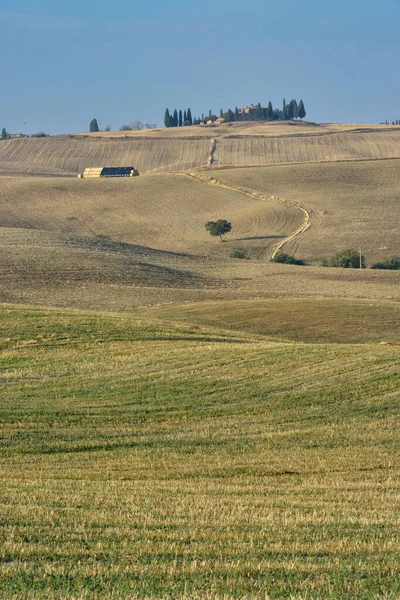 緑豊かな草原と秋のトスカーナの青空 イタリアの美しい垂直風景 — ストック写真