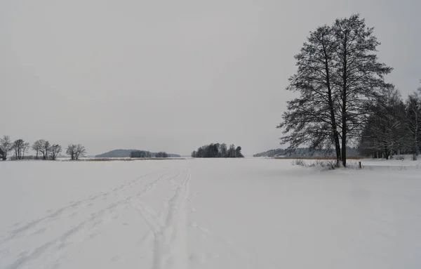 Sendero Cubierto Nieve Con Rastro Neumáticos Coche Finlandia —  Fotos de Stock