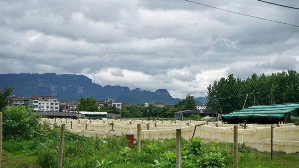 A small bakery farm on the background of buildings and mountains