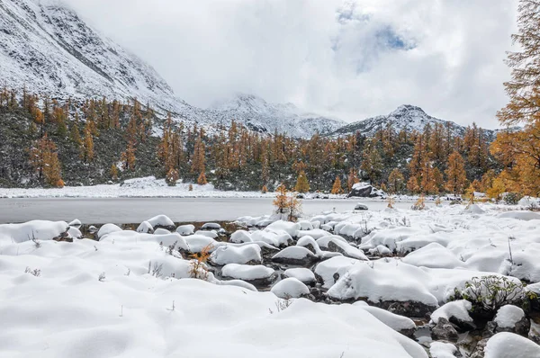 Hermoso Paisaje Invierno Con Lago Alpino Rodeado Árboles — Foto de Stock