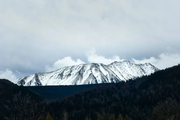 冬の山の雪のピーク — ストック写真