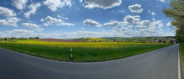 Panoraamanäkymä Tien Läpi Pellon Täynnä Keltaisia Kukkia — kuvapankkivalokuva