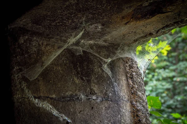 放棄された霊廟の出口の壁の隅にあるクモの巣のクローズアップ — ストック写真