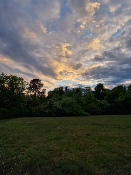 Taze Yeşil Çimlerin Dikey Görüntüsü Bulutlu Bir Gökyüzünün Altındaki Ağaçlar — Stok fotoğraf
