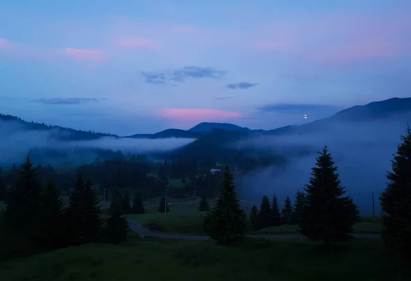 Nebel Zwischen Den Bäumen Den Bergen Frühen Morgen Natur Wild — Stockfoto