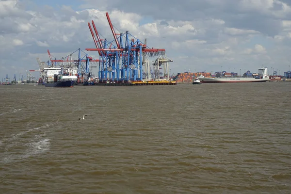 Waltershof Hamburg Mitte Hamburg Alemania Julio 2019 Hamburg Harbour Container — Foto de Stock