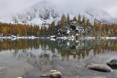 Ağaçlarla çevrili alp gölü olan güzel bir kış manzarası.