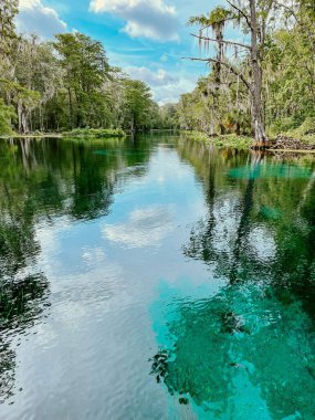 Güneşli bir günde ağaçlarla çevrili berrak bir nehir.