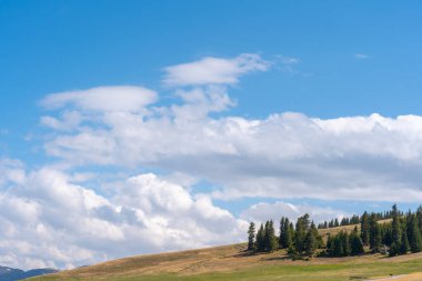 Büyük yeşil tepelerdeki ağaçların büyüleyici arkaplanı ufuktaki mavi gökyüzünde beyaz bulutlara karşı.