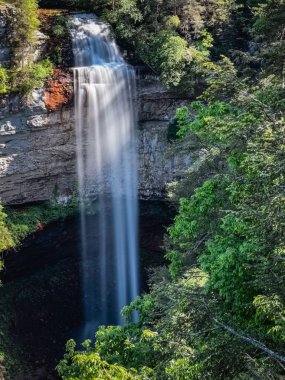 Fall Creek Şelalesi 'nin dikey görüntüsü ağaçlarla çevrili kayaların üzerinden akıyor.