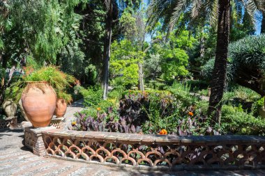 Sicilya, İtalya 'da yeşil bitkileri olan güzel bahçe..
