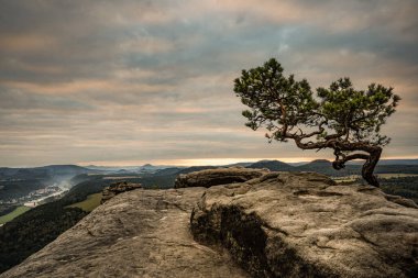 Dağların arasında, bulutlu gökyüzünün altında bir çam ağacıyla dağların doğal manzarası.