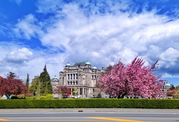 Piękny Widok Budynek Parlamentu Kolumbii Brytyjskiej Ogród — Zdjęcie stockowe