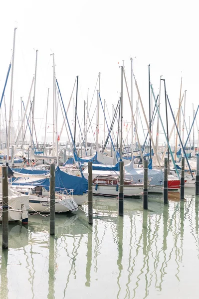 Eine Gruppe Festgemachter Segelboote Bodensee Friedrichshafen Deutschland — Stockfoto