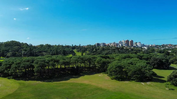 Una Vista Hermoso Campo Verde Bajo Cielo Azul Brillante Con — Foto de Stock