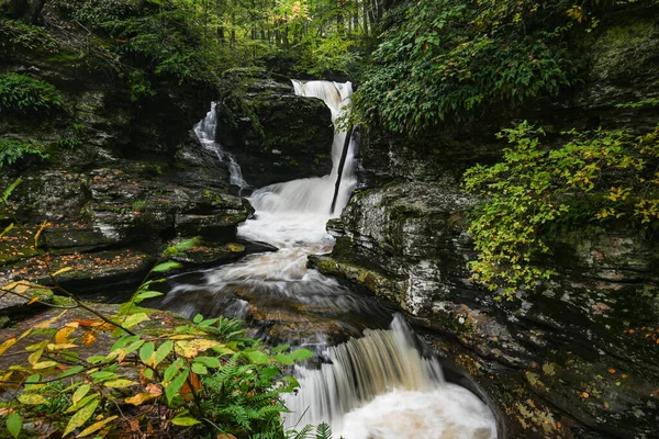森林里一条狭窄的瀑布小河拍出美丽的照片 — 图库照片