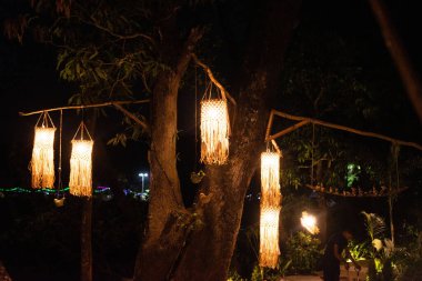 Ağaçta asılı lambaların yakın çekimi.