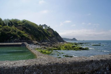 Mavi gökyüzünün altında yosunlu taşlarla güzel bir deniz manzarası.