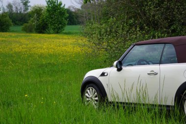 Yeşil çimlerin üzerinde beyaz bir arabanın yan görüntüsü.