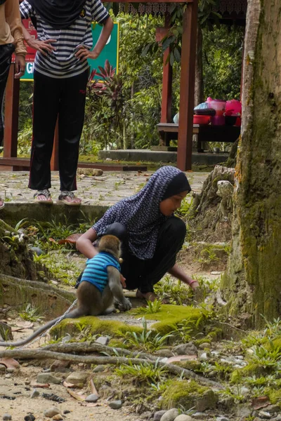 Μια Ντόπια Μαλαισιανή Στο Τερενγκάνου Έπαιζε Μια Μικρή Χαριτωμένη Μαϊμού — Φωτογραφία Αρχείου