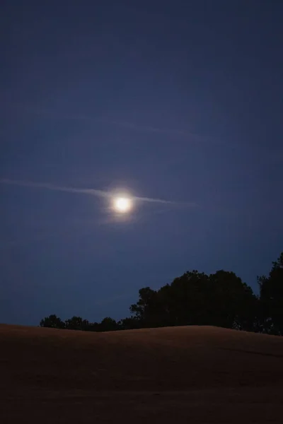 Een Verticaal Shot Van Silhouetten Van Bomen Tegen Donkere Nachtelijke — Stockfoto