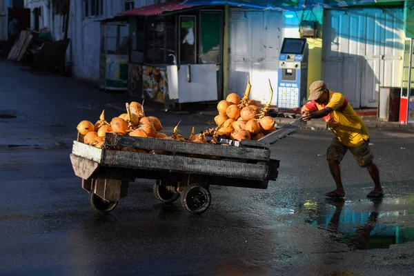 Homem Carregando Carrinho Mão Madeira Pesado Cheio Cocos Rua Após — Fotografia de Stock