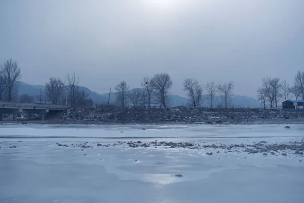 Una Bella Scena Alberi Neve Allineati Lontananza Acqua Ghiacciata Del — Foto Stock