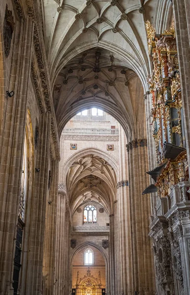 Vertical Shot North Nave Gothic Cathedral Salamanca Spain — Stock Photo, Image